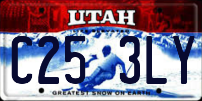 UT license plate C253LY