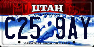 UT license plate C259AY