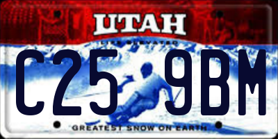 UT license plate C259BM