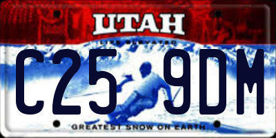 UT license plate C259DM