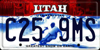UT license plate C259MS