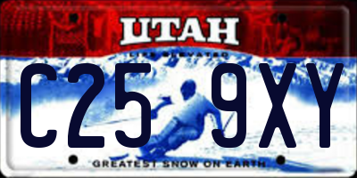 UT license plate C259XY