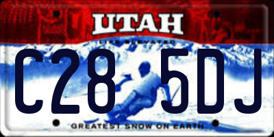 UT license plate C285DJ
