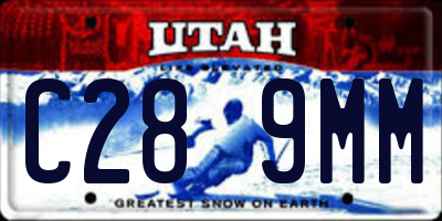 UT license plate C289MM