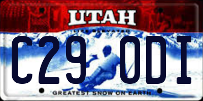 UT license plate C290DI