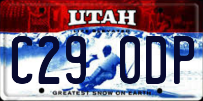 UT license plate C290DP