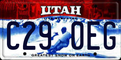 UT license plate C290EG