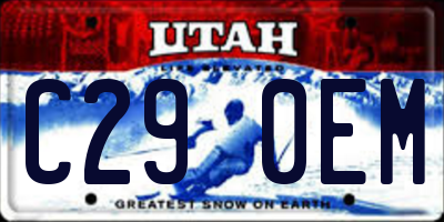 UT license plate C290EM