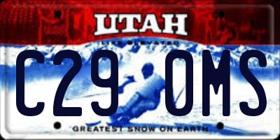UT license plate C290MS