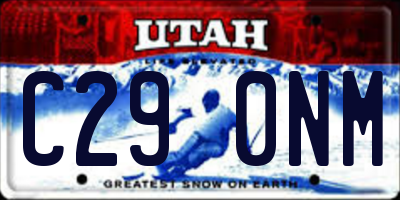 UT license plate C290NM