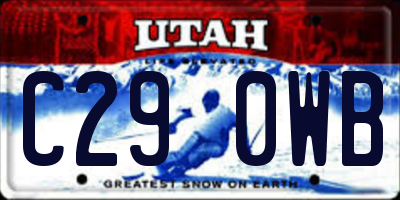 UT license plate C290WB