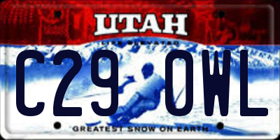 UT license plate C290WL