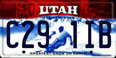 UT license plate C291IB