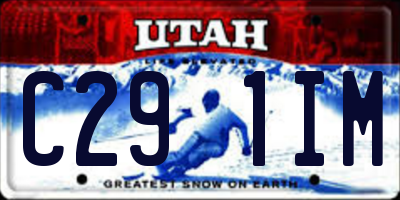 UT license plate C291IM