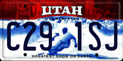 UT license plate C291SJ