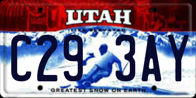 UT license plate C293AY
