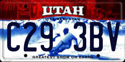 UT license plate C293BV