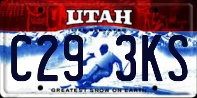 UT license plate C293KS
