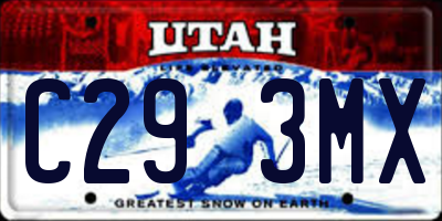 UT license plate C293MX