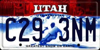 UT license plate C293NM