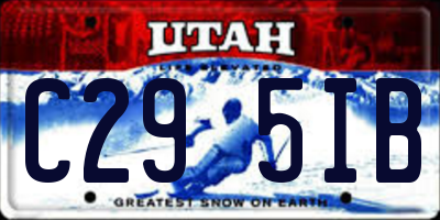 UT license plate C295IB