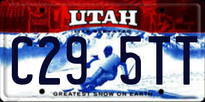 UT license plate C295TT