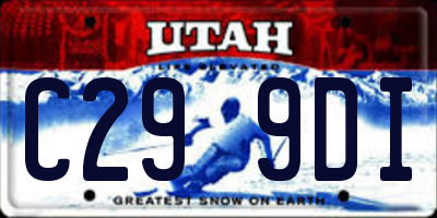 UT license plate C299DI