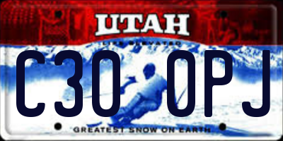 UT license plate C300PJ