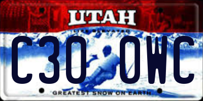 UT license plate C300WC