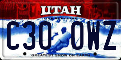 UT license plate C300WZ
