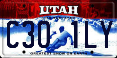 UT license plate C301LY