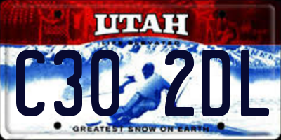 UT license plate C302DL