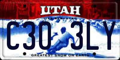 UT license plate C303LY