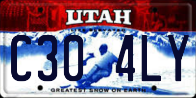 UT license plate C304LY