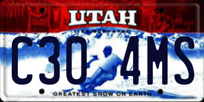 UT license plate C304MS