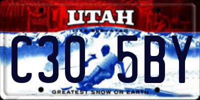 UT license plate C305BY