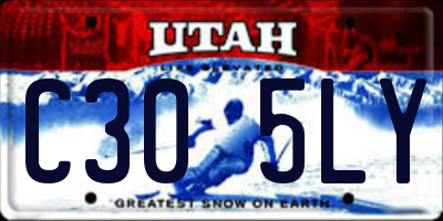 UT license plate C305LY