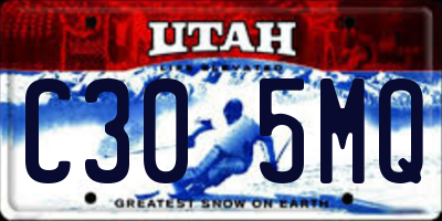 UT license plate C305MQ