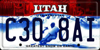 UT license plate C308AI