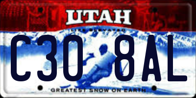 UT license plate C308AL