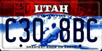 UT license plate C308BC