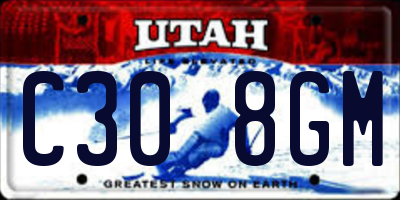 UT license plate C308GM