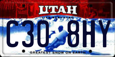 UT license plate C308HY