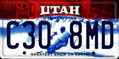 UT license plate C308MD