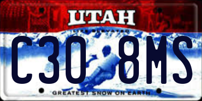 UT license plate C308MS
