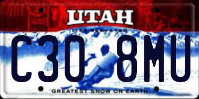 UT license plate C308MU