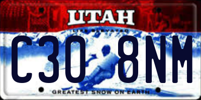 UT license plate C308NM