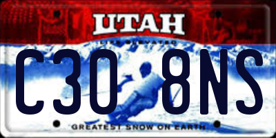UT license plate C308NS