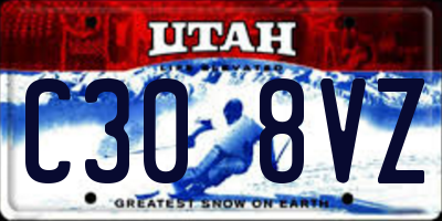 UT license plate C308VZ