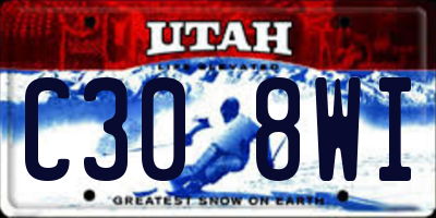 UT license plate C308WI